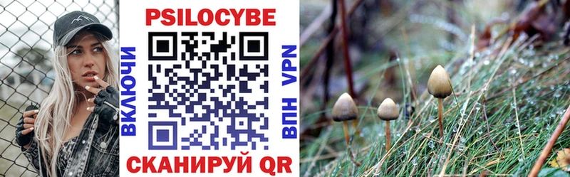 Галлюциногенные грибы мухоморы  Бавлы 